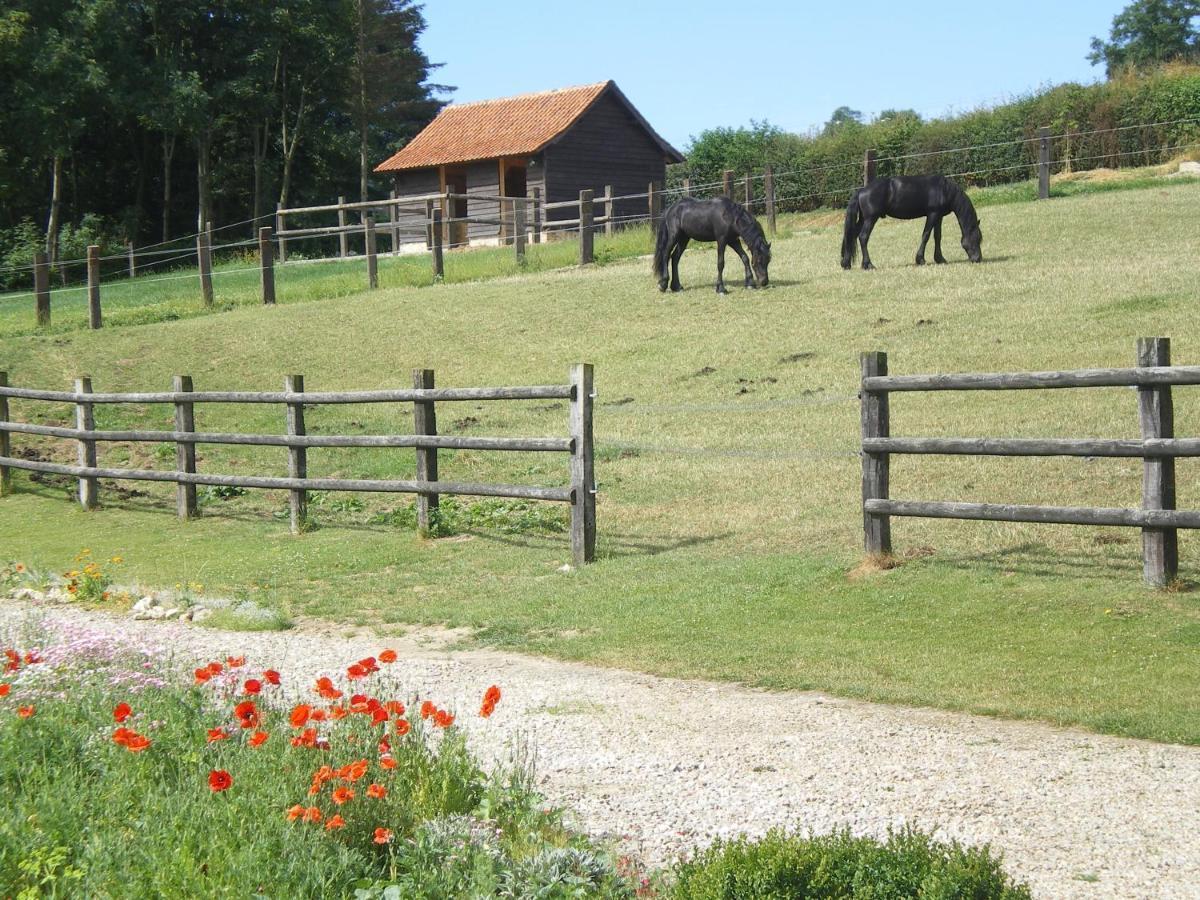 Ferme Des Tilleuls Bezinghem Exterior foto